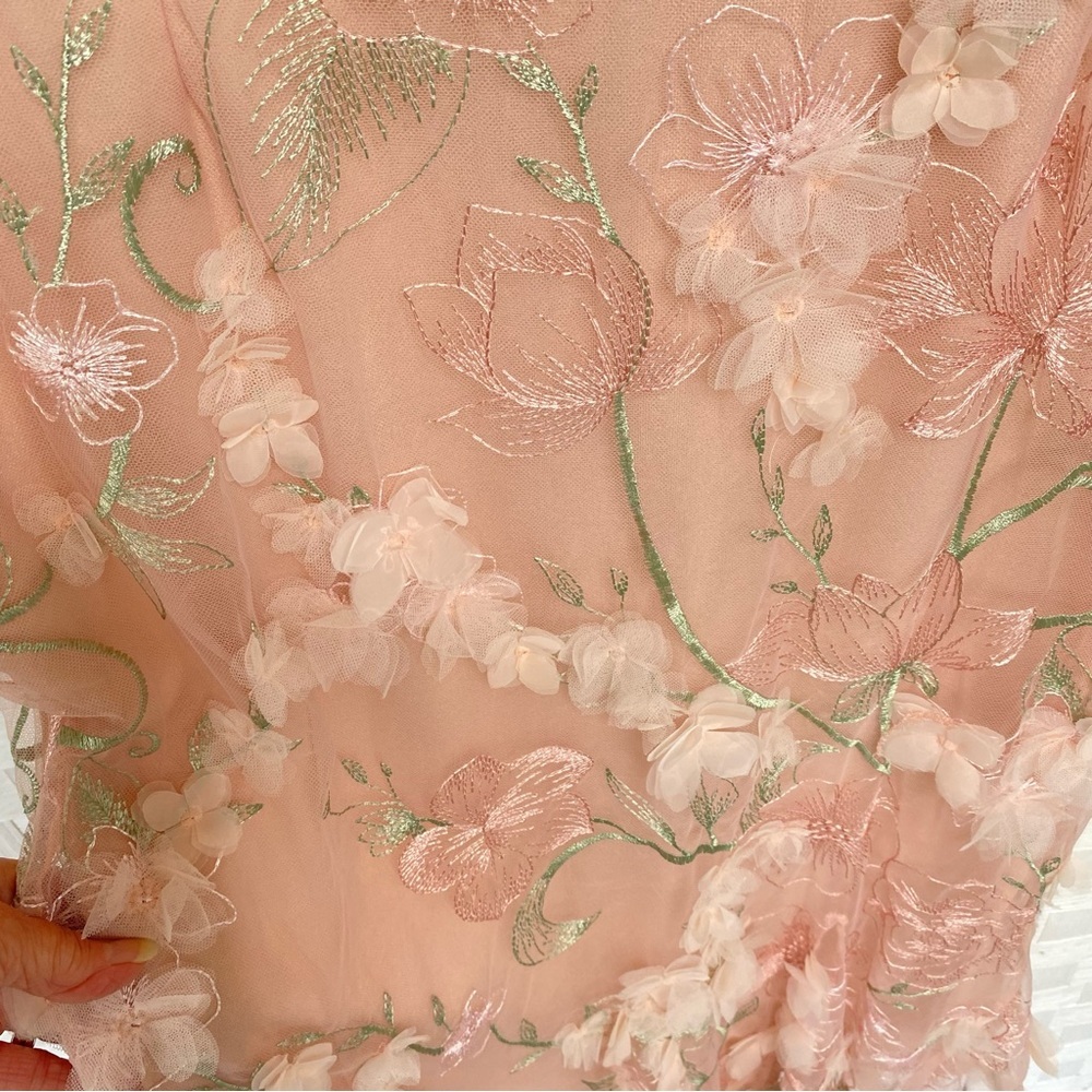 Marchesa Notte Dress Evening Embroidered Organza 3 D Blush Pale Pink Gown Sz 14 - Picture 9 of 11